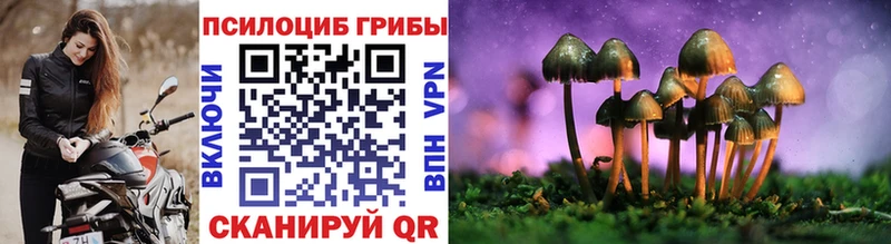 Галлюциногенные грибы прущие грибы  Купить где  Отрадное 